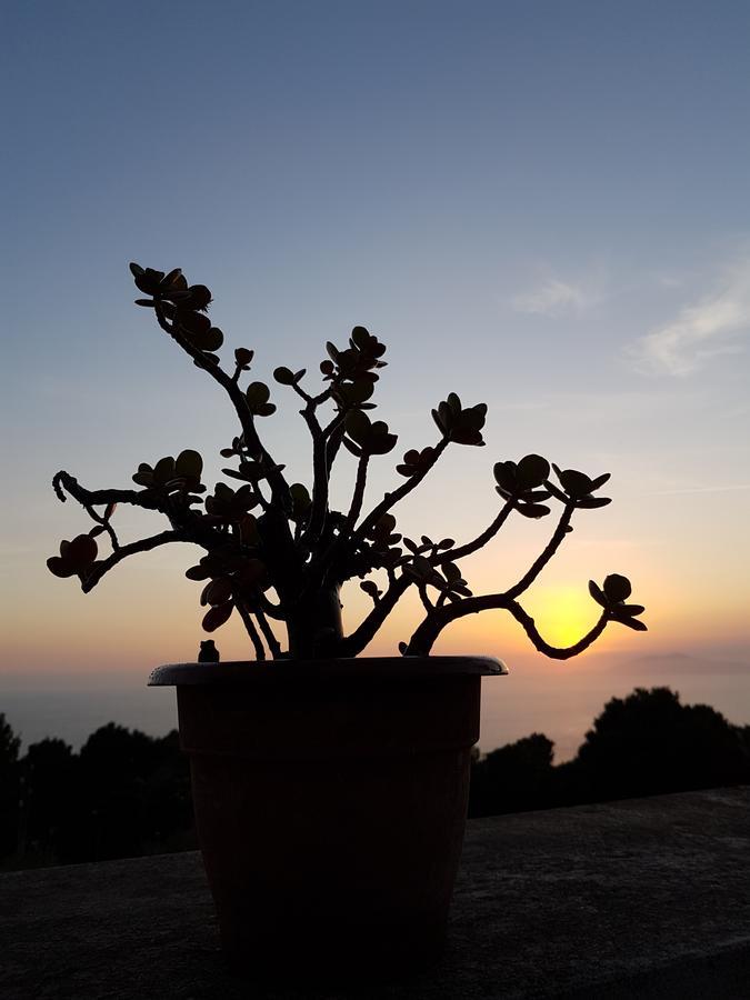 Il Rifugio B&B Capri Anacapri  Exterior photo